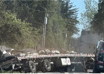 U përmbys kamioni, “arratisen” 250 milionë bletë në Amerikë