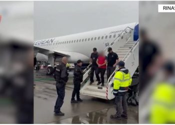 Të akuzuar për kultivim narkotikësh dhe dhunë në familje, ekstradohen nga Greqia dhe Italia dy persona