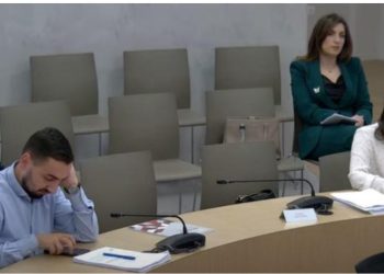 Ankimi i i PD-ASHM për rezultatet e zgjedhjeve në Lezhë, Logu: Policia u përfshi në fushatë, procedoi Gjin Gjonin në mënyrë të pakuptueshme