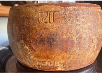 FOTO/ Zbulohet rrota e djathit më e vjetër në botë, prodhuesi: E kam ruajtur me dashuri, si një fëmijë