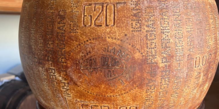 FOTO/ Zbulohet rrota e djathit më e vjetër në botë, prodhuesi: E kam ruajtur me dashuri, si një fëmijë