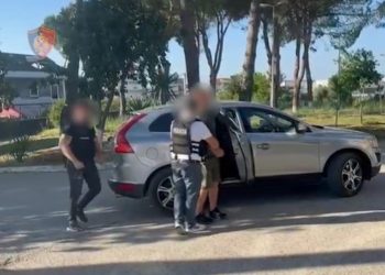 EMRAT/ Kultivuan kanabis dhe posedonin armë zjarri, vihen në pranga dy vëllezër në Fier 