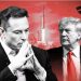 Krisja e marrëdhënieve me Trump/ Pas Rusisë edhe Europa “hap krahët” për azil politik për Elon Musk?