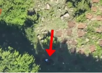 Zbulohet parcela me 1800 bimë kanabis në malin e Okshtunit në Bulqizë, arrestohet në flagrancë një person, shpallet në kërkim një tjetër