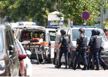 Sulmi me nëntë viktima dhe 12 të plagosur në një shkollë në Austri, shpallen tre ditë zie