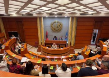 Megi Fino zgjidhet kryetare e Këshillit Bashkiak të Tiranës, Endrit Braimllari nënkryetar