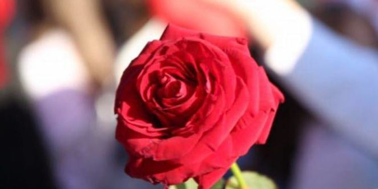 PS feston 34-vjetorin/ Rama: Flamuri i socialistëve e progresistëve shqiptarë është ngjitur më lart se asnjëherë