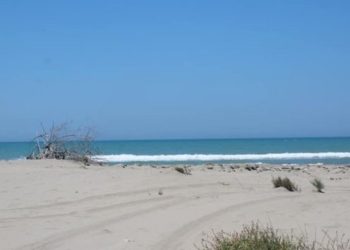 Ishte futur të lahej në det dhe pësoi arrest kardiak, ndërron jetë 73-vjeçari në Qerret të Kavajës