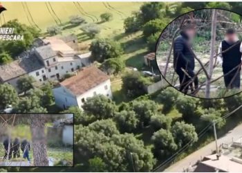 Shkatërrohet banda shqiptare në Itali, arrestohen 12 persona dhe sekuestrohen 423 kg lëndë narkotike