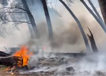 Situatë alarmante në Elbasan, përhapet me shpejtësi zjarri në Kodër Krastë. Flakët përfshijnë një sipërfaqe të konsiderueshme pyjore