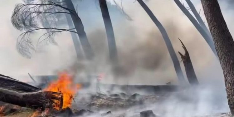 Situatë alarmante në Elbasan, përhapet me shpejtësi zjarri në Kodër Krastë. Flakët përfshijnë një sipërfaqe të konsiderueshme pyjore