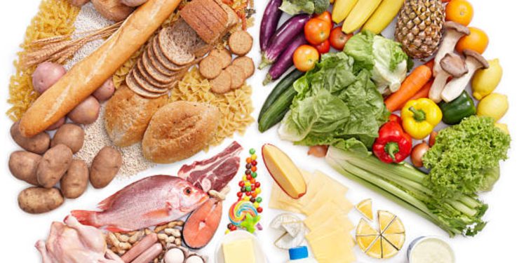 I vetmi vend në botë që prodhon ushqim të mjaftueshëm për të përmbushur nevojat e popullsisë ia kalon Kinës, ja cili shtet kryeson sipas një studimi të ri