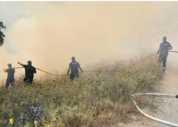 Zjarri në kodrat e Pilurit, rrezikohet edhe zona e Porto Palermos