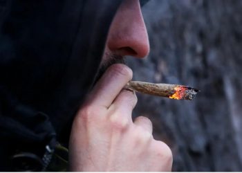 “La Familia”/ Goditet rrjeti i trafikimit të drogës në Austri dhe Gjermani, nipi dhe xhaxhai shqiptarë, në krye të aktivitetit