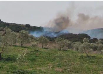 Zjarri në Pilur të Himarës ende aktiv, rreth 650 hektarë të djegura nga flakët