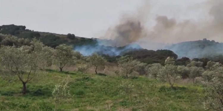 Zjarri në Pilur të Himarës ende aktiv, rreth 650 hektarë të djegura nga flakët