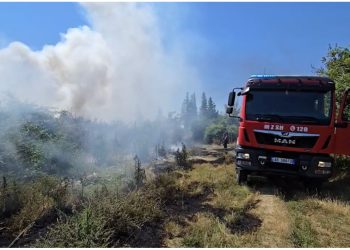 Përfshihet nga flakët vendgrumbullimi i mbetjeve në Fier, zona “pushtohet” nga tymi