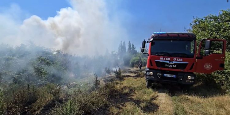 Përfshihet nga flakët vendgrumbullimi i mbetjeve në Fier, zona “pushtohet” nga tymi