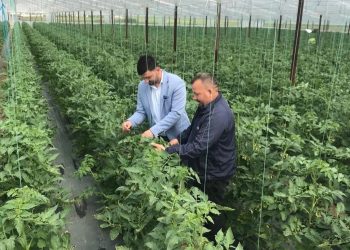 Prodhimi në krizë, bujqësia në tkurrje për të pestin vit, industria për të tretin