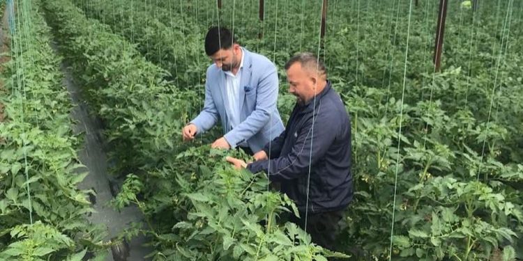 Prodhimi në krizë, bujqësia në tkurrje për të pestin vit, industria për të tretin