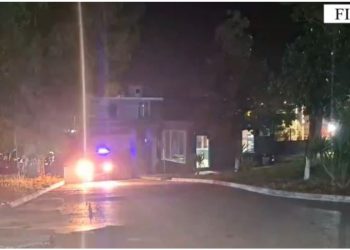 VIDEO/ Zbulohen dy parcela me kanabis në Fier, vihen në pranga dy persona