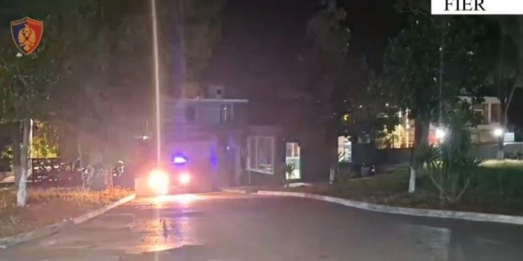 VIDEO/ Zbulohen dy parcela me kanabis në Fier, vihen në pranga dy persona