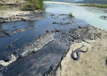 VIDEO/ Ndotja mjedisore në Parkun Kombëtar të Vjosës, ambientalistët e huaj “zbarkojnë” në terren: Nuk ka më ujë, është vetëm karburant