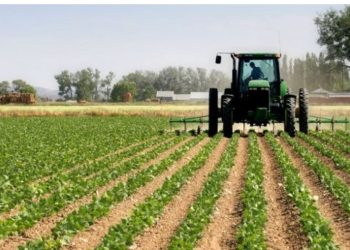 Skandali me fondet europiane për fermerët/ Në Greqi ministri jep dorëheqjen, në Shqipërinë që aspiron të bëhet pjesë e BE rritet në detyrë