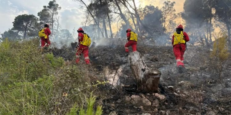 Situata me zjarret në vend/ Ministria e Mbrojtjes: Në 24 orët e fundit u raportuan 9 vatra zjarri, flakët janë neutralizuar pa shkaktuar dëme