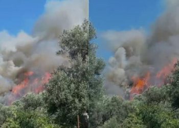 FOTO/ Vatër zjarri në fshatin Hoshtimë në Vlorë, era e fortë favorizon flakët