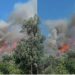 FOTO/ Vatër zjarri në fshatin Hoshtimë në Vlorë, era e fortë favorizon flakët