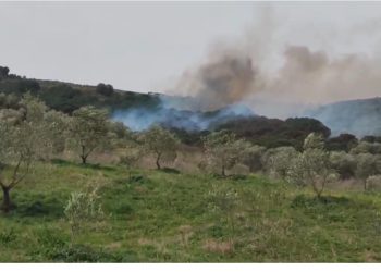 Zjarr në zonën e Malit me Gropa, digjet një sipërfaqe me pemë ahu