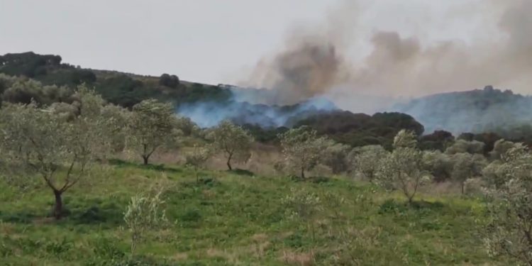 Zjarr në zonën e Malit me Gropa, digjet një sipërfaqe me pemë ahu