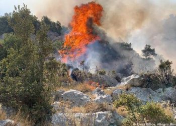 Situata e zjarreve në vend/ Ministria e Mbrotjes: 26 vatra janë raportuar në 24 orët e fundit, ja cilat qarqe rrezikohen më shumë nga flakët