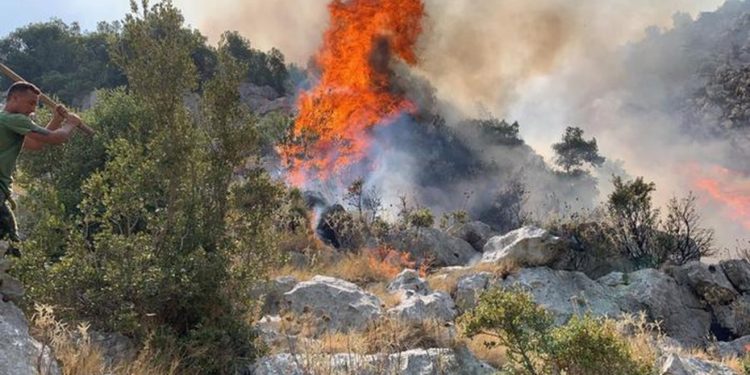 Situata e zjarreve në vend/ Ministria e Mbrotjes: 26 vatra janë raportuar në 24 orët e fundit, ja cilat qarqe rrezikohen më shumë nga flakët