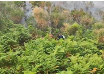Zjarri në Dukat/ Asfiksohen tre zjarrfikës, dërgohen në spital për ndihmë mjekësore