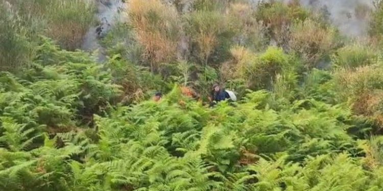 Zjarri në Dukat/ Asfiksohen tre zjarrfikës, dërgohen në spital për ndihmë mjekësore