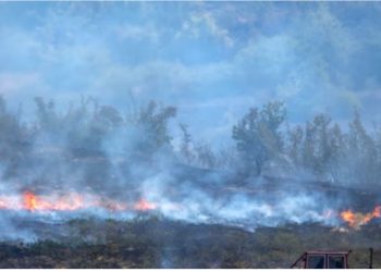 Situatë kritike për shkak të zjarrit në Senicë, digjen 11 banesa dhe një kishë 200-vjeçare
