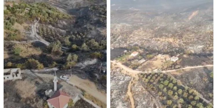 Delvinë/ Kopaçeza u shkrumbua nga zjarri, pamjet me dron tregojnë pasojat e rënda