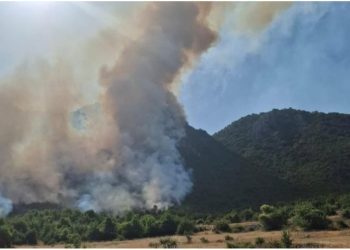 Aktivizohet një vatër zjarri në Parkun Kombëtar të Prespës, zjarrfikësit dhe banorët e zonës në luftë me flakët