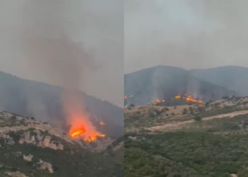 Zjarri në Borsh merr përmasa alarmante, Berisha: Asnjë ndihmë! Ramoduro me satelitët