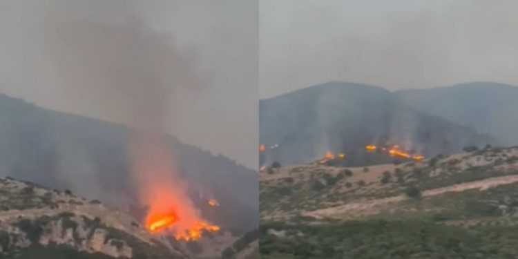 Zjarri në Borsh merr përmasa alarmante, Berisha: Asnjë ndihmë! Ramoduro me satelitët