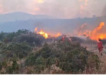 Përkeqësohet situata e zjarreve në vend gjatë natës/ Flakët në Borsh rrezikojnë banesat dhe bizneset, evakuohen banorët dhe pushuesit