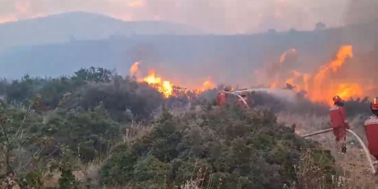 Përkeqësohet situata e zjarreve në vend gjatë natës/ Flakët në Borsh rrezikojnë banesat dhe bizneset, evakuohen banorët dhe pushuesit