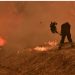 Pamje apokaliptike/ Greqia në luftë me zjarret, evakuohen banorët pranë Athinës