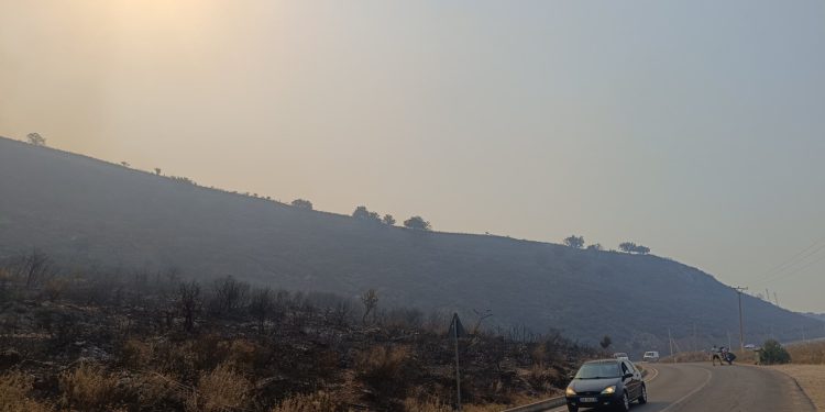 Nga Shkodra në Sarandë, vihen në pranga 5 persona për zjarrvënie, procedohen penalisht 6 të tjerë