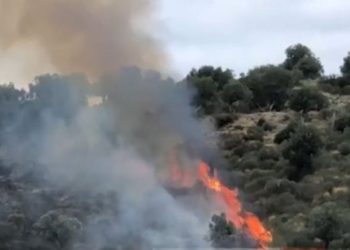 “Në 24 orë janë evidentuar 52 vatra zjarri”, Ministria e Mbrojtjes: Dy ende aktive dhe 4 nën monitorim! U angazhuan 52 zjarrfikëse dhe 722 forca operacionale