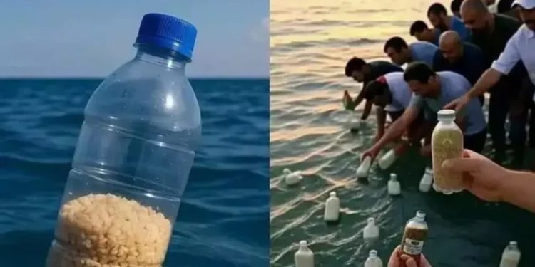 VIDEO/ Egjiptianët hodhën ushqim me shishe në det për Gazën, ndihma simbolike mbërrin te palestinezët