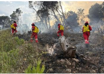 Reshjet e shiut shpëtojnë vendin nga zjarret/ Ministria e Mbrojtjes: Vetëm një vatër aktive, flakët shkrumbuan qindra hektarë pyje në Klos, Lurë, Mat dhe Bulqizë
