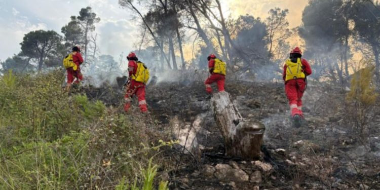 Reshjet e shiut shpëtojnë vendin nga zjarret/ Ministria e Mbrojtjes: Vetëm një vatër aktive, flakët shkrumbuan qindra hektarë pyje në Klos, Lurë, Mat dhe Bulqizë